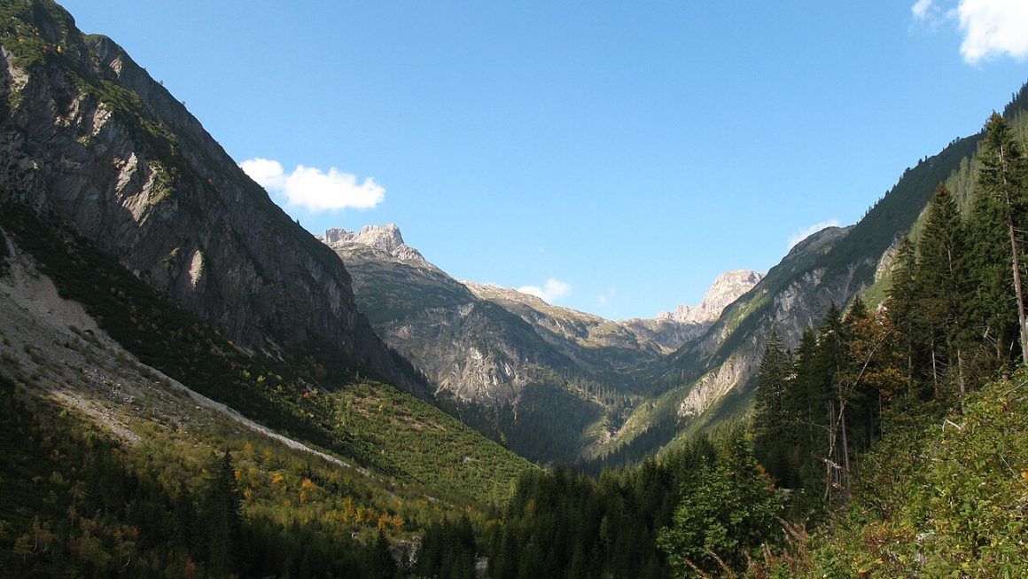 Bergdal in de Alpen